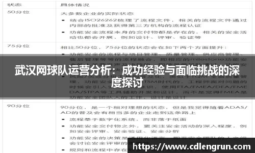 武汉网球队运营分析：成功经验与面临挑战的深度探讨