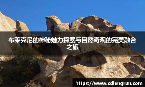 9499www威尼斯